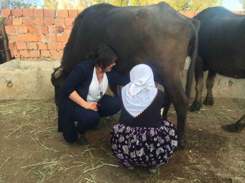 Kaymakların kaymağı AFYON KAYMAĞI! - 1